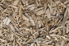 biomass boilers Catcleugh